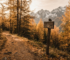 Herbstlicher Wanderweg durch goldenen Laerchenwald mit Bergen